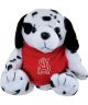 Small Dalmation W/Red Tee