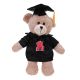 Tan Graduation Bear